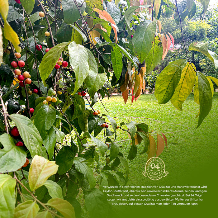 94 Origin Farmgeschichte 01